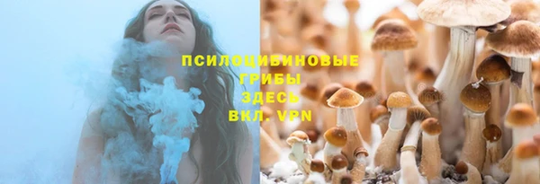 ешки Абинск