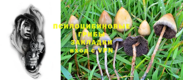 твердый Абаза