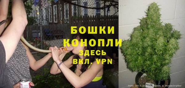 крисы Абдулино