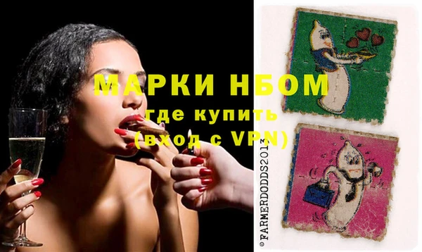 твердый Абаза