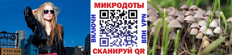 Галлюциногенные грибы MAGIC MUSHROOMS  Руза 